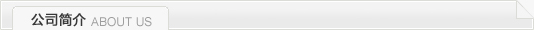 公司簡介